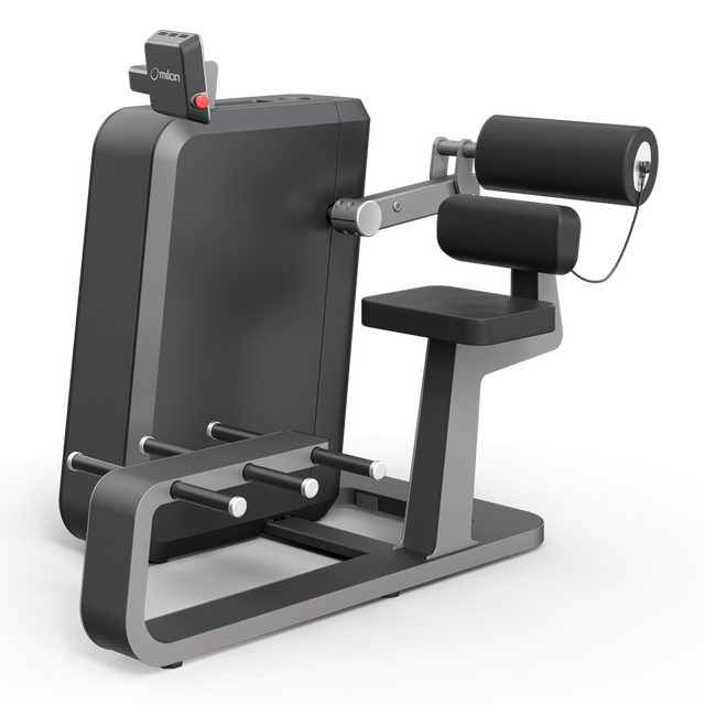 Medizinische Fitness - Back Extension