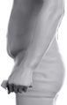 Scaneca Körperfett